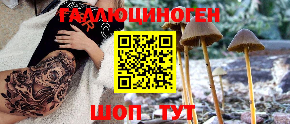 Псилоцибиновые грибы Cubensis Чапаевск